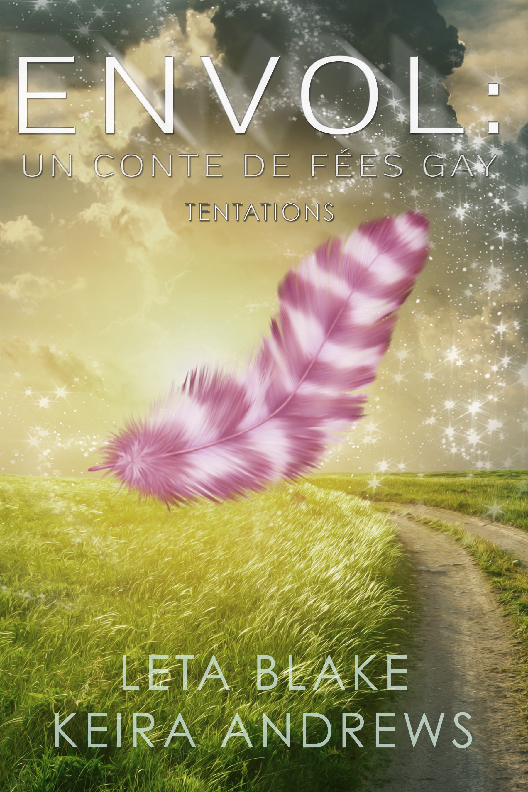 ebook cover of Envol : un conte de fées gay, by Christi Snow