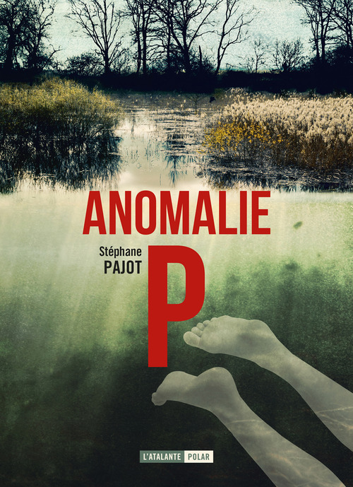 Couverture ebook de Anomalie P, de Stéphane Pajot