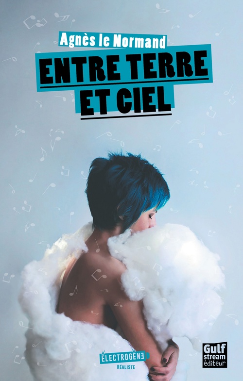 ebook cover of Entre terre et ciel, by Agnès Le normand