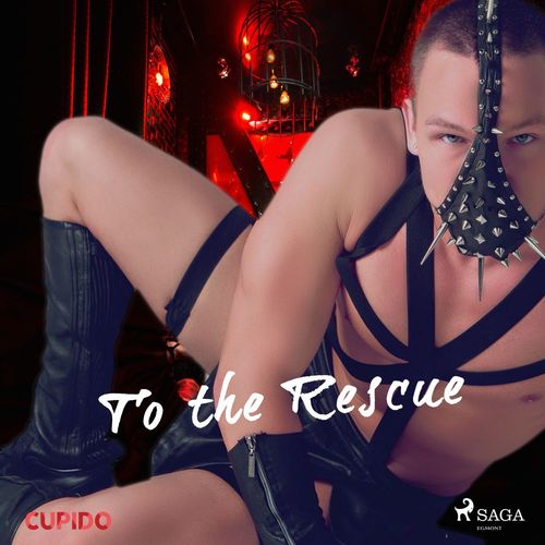 Couverture audiobook de To the Rescue, de -  Cupido