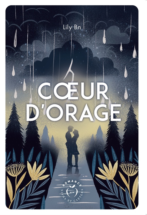 ebook cover of Coeur d'orage, by Lily Bn