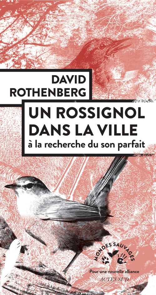 Couverture ebook de Un Rossignol dans la ville, de David Rothenberg