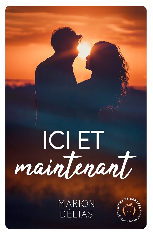 ebook cover of Ici et maintenant, by Marion Délias
