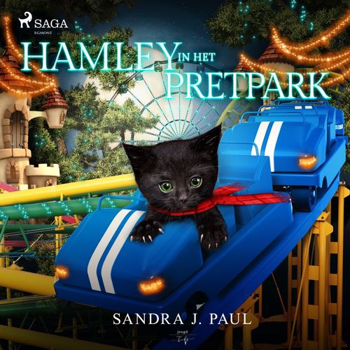 audiobook cover of Hamley in het pretpark, by Sandra J. Paul