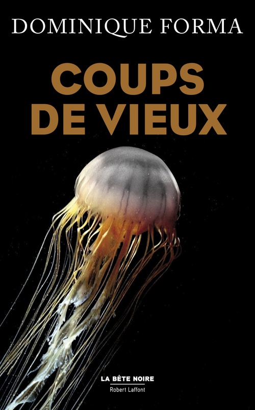 Couverture ebook de Coups de vieux, de Dominique Forma