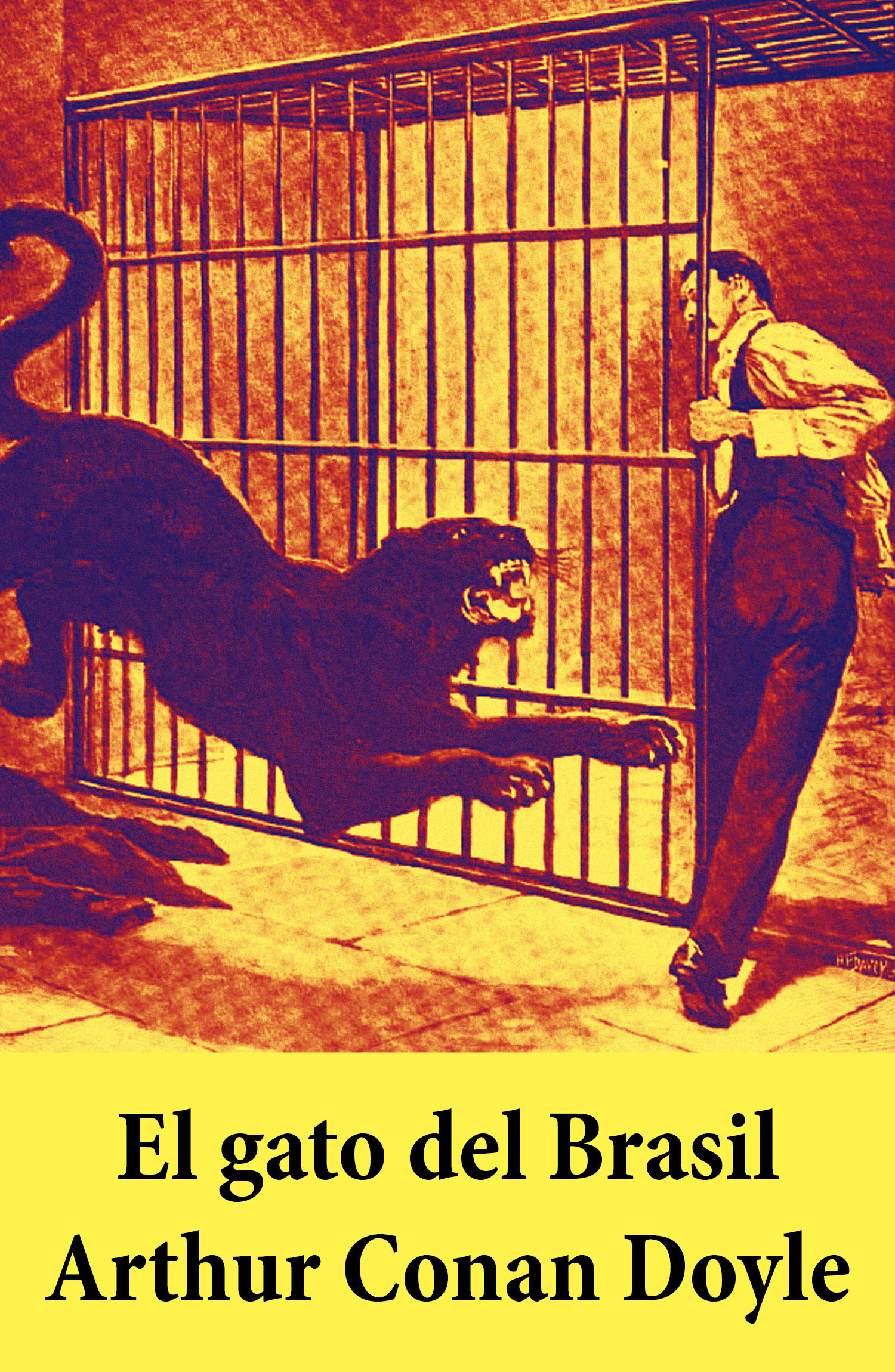 ebook cover of El gato del Brasil, by Arthur Conan Doyle
