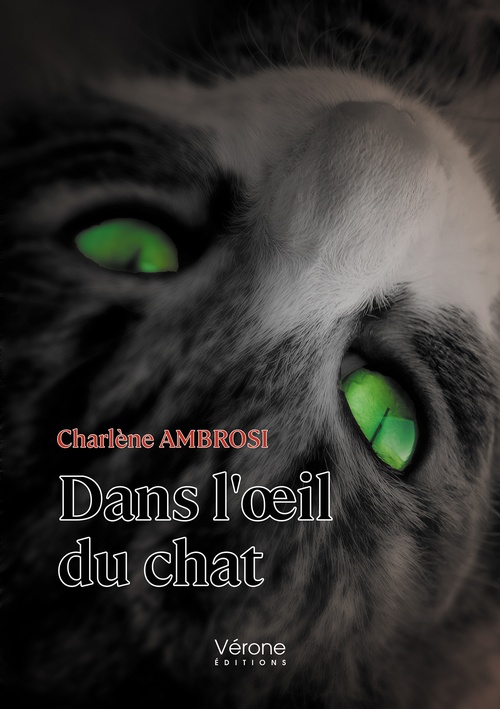 Couverture ebook de Dans l'oeil du chat, de Charlène Ambrosi