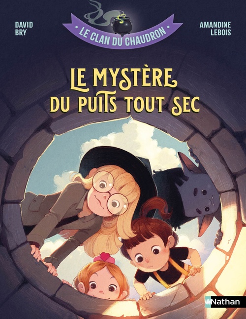 ebook cover of Le clan du chaudron : Le mystère du puits tout sec, by David Bry