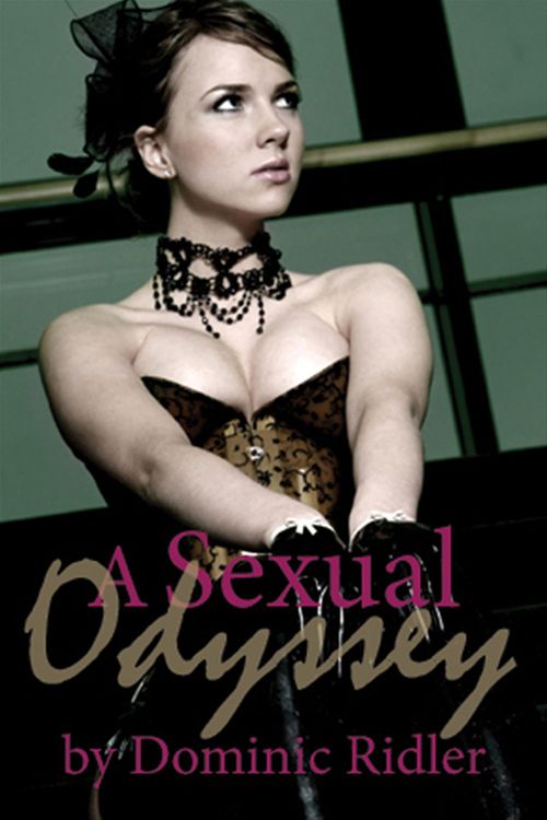 Couverture ebook de A Sexual Odyssey, de Dominic Ridler