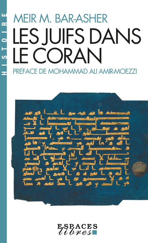 ebook cover of Les Juifs dans le Coran, by Meir michael Bar-asher