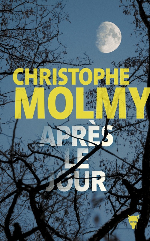 ebook cover of Après le jour, by Christophe Molmy