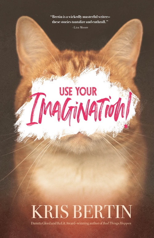 ebook cover of Use Your Imagination, by Kris Bertin