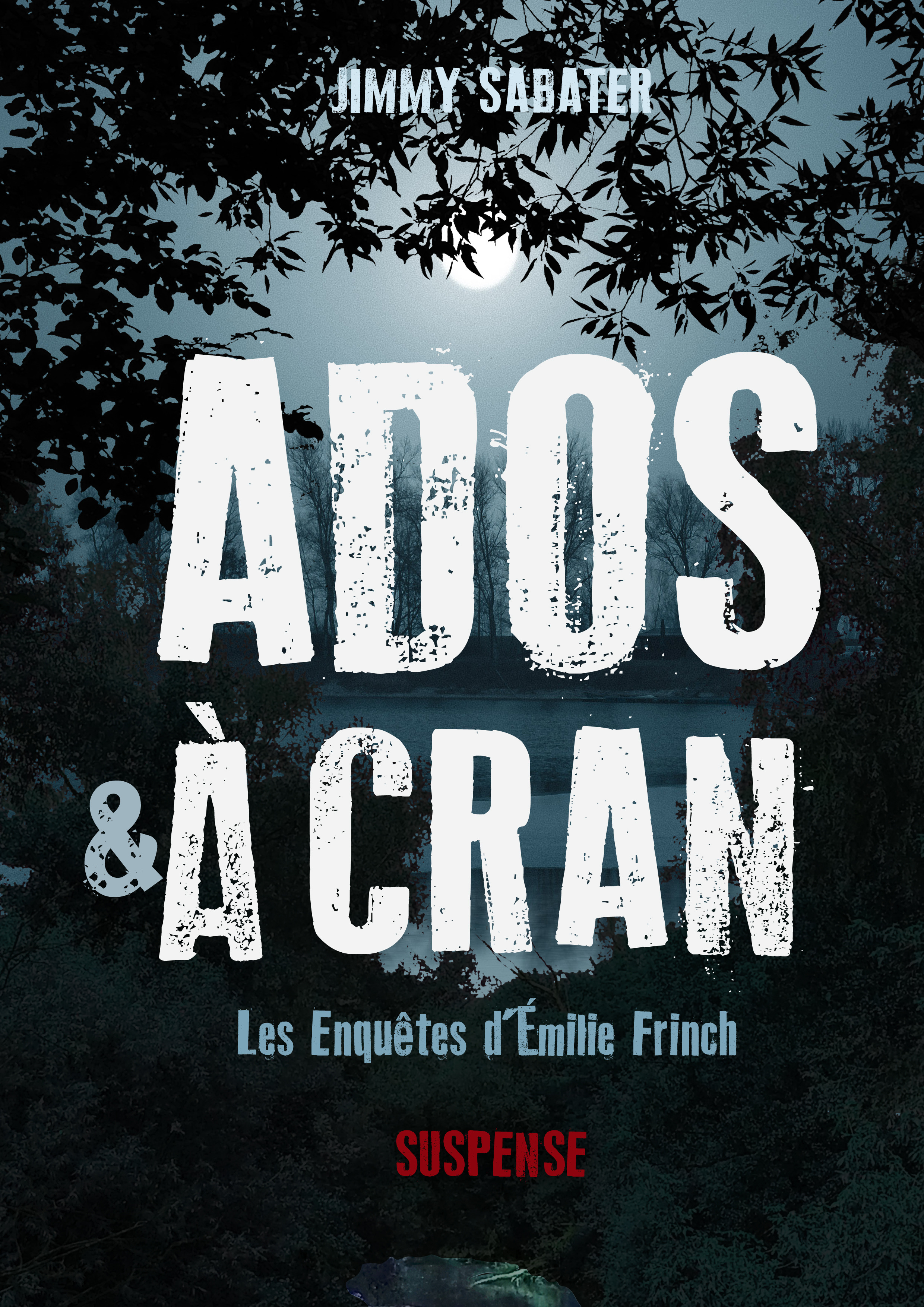 ebook cover of Ados et à cran, by Jimmy Sabater