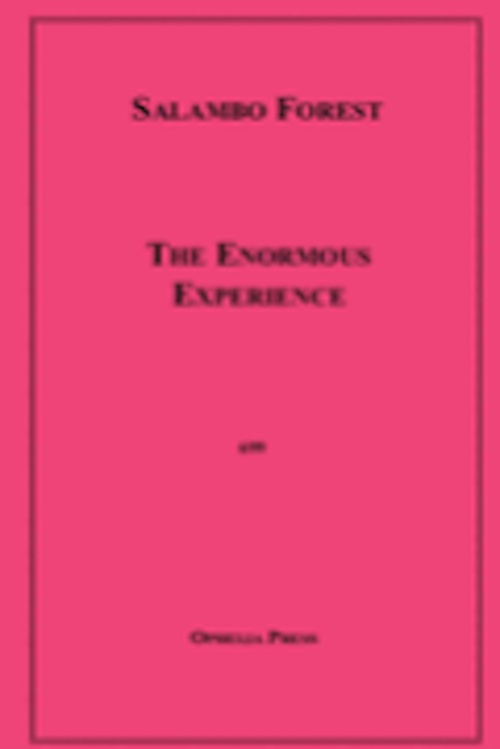 ebook cover of The Enormous Experience, by Salambo Forest