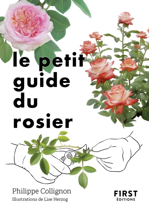 ebook cover of Le Petit Guide du rosier, by Philippe Collignon