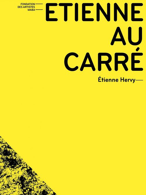 Couverture ebook de Etienne au carré, de Etienne Hervy, Etienne Robial