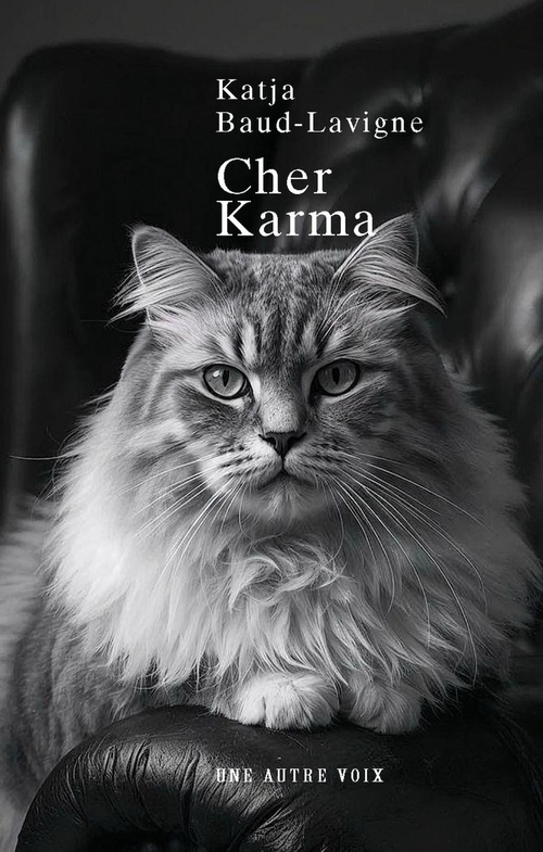 Couverture ebook de Cher Karma, de Katja Baud-Lavigne