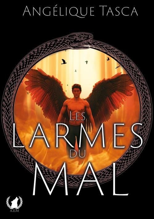 ebook cover of Les larmes du mal, by Angelique Tasca
