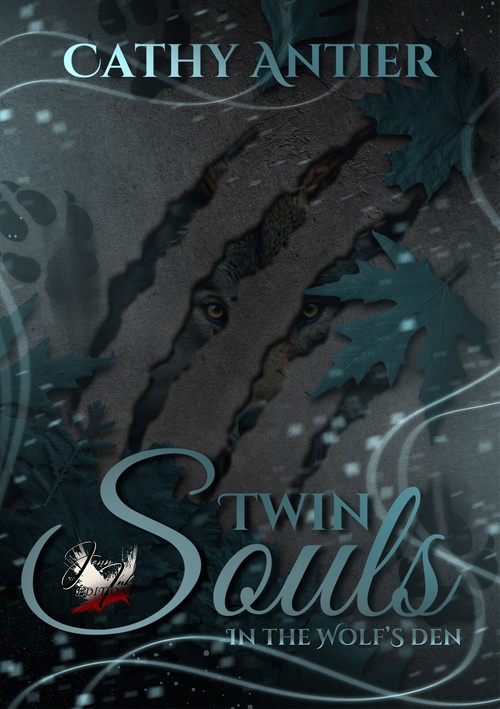Couverture ebook de Twin Souls, de Cathy Antier