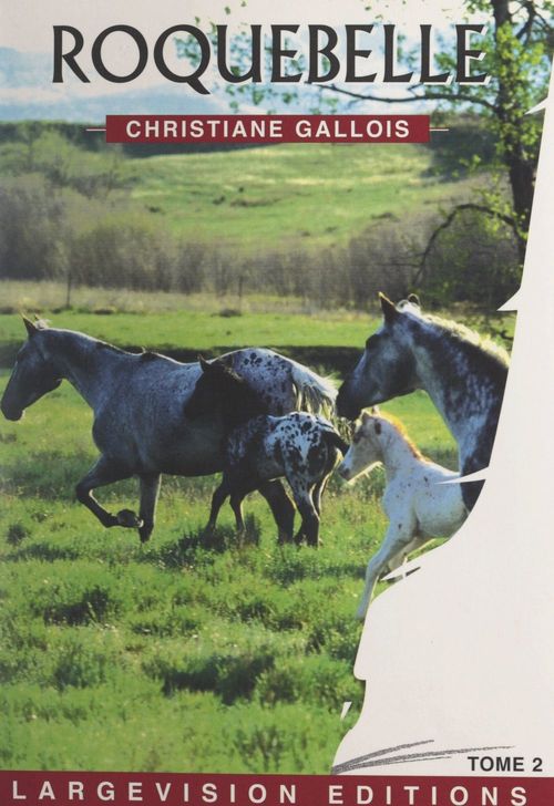 Couverture ebook de Roquebelle (2), de Christiane Gallois