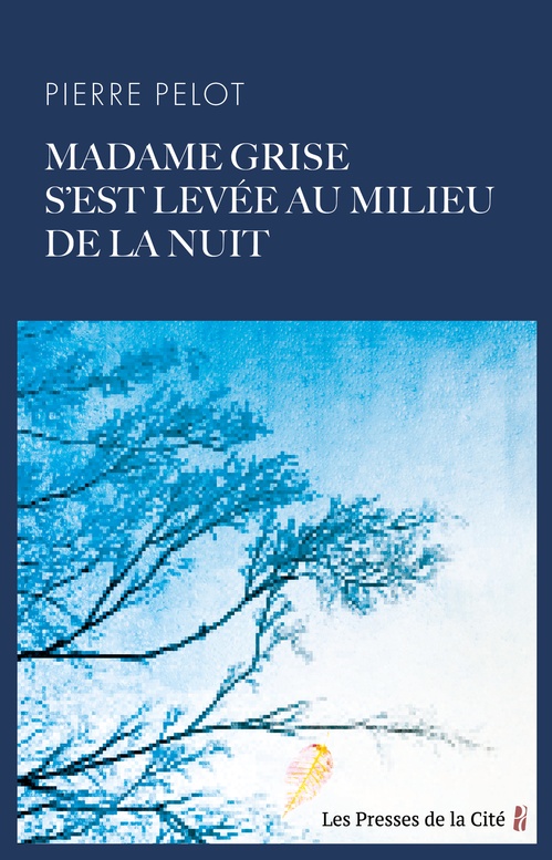Couverture ebook de Madame Grise s'est levée au milieu de la nuit, de Pierre Pelot