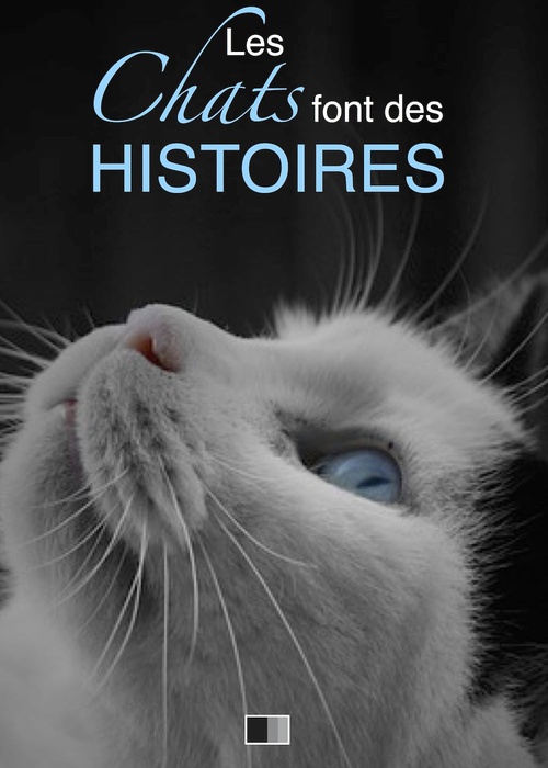 Couverture ebook de Les chats font des histoires, de Collectif