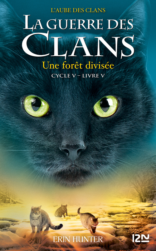 ebook cover of La guerre des clans - Cycle V : L'aube des clans - Tome 5 Une forêt divisée, by Erin Hunter