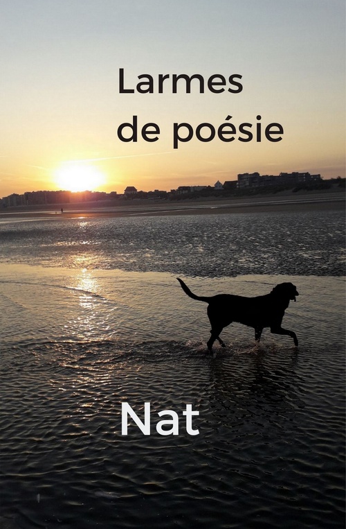 Couverture ebook de Larmes de poésie, de Nathalie Carlier