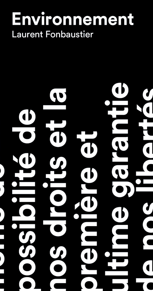 ebook cover of Environnement, by Laurent Fonbaustier