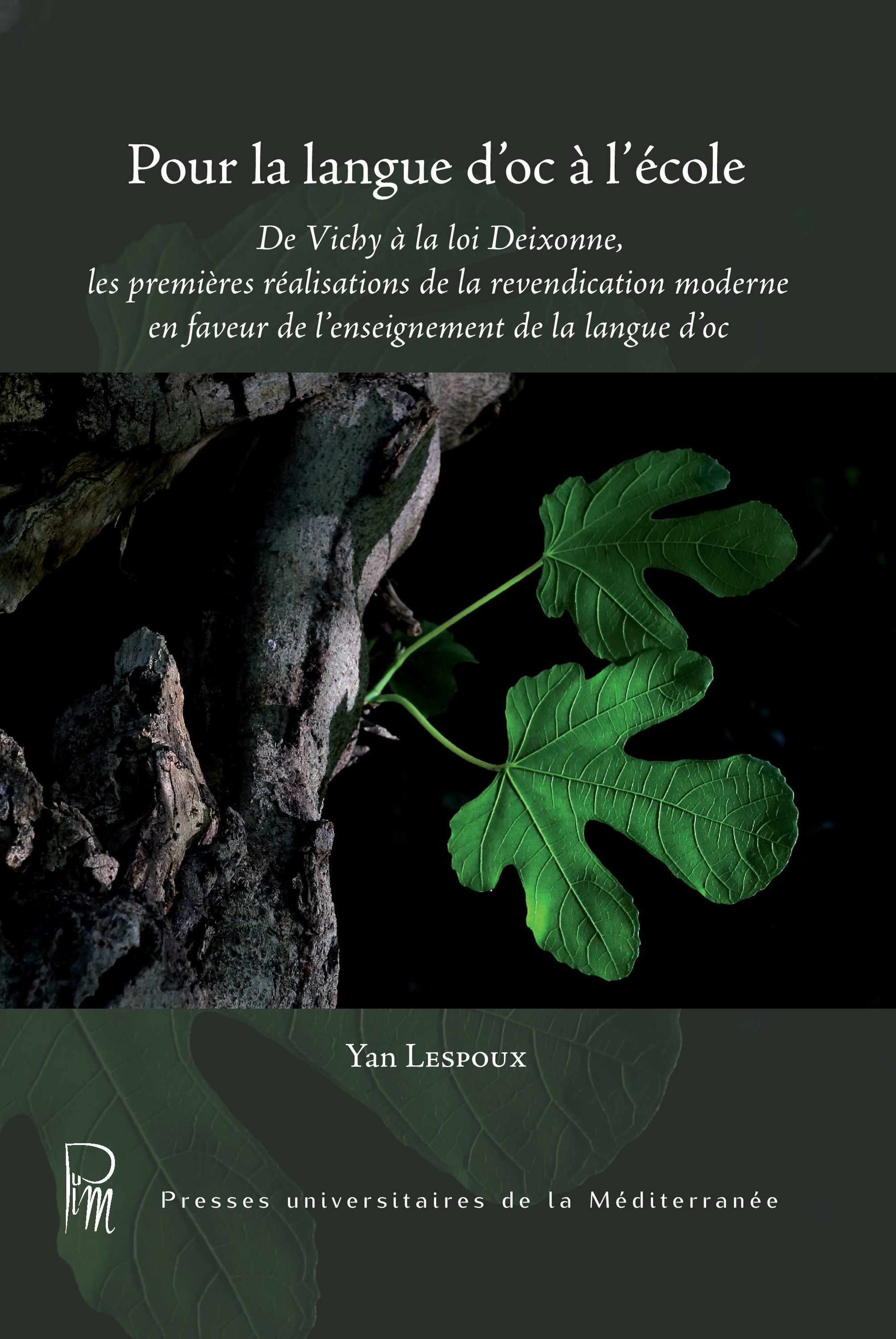 ebook cover of Pour la langue d´oc à l´école, by Yan Lespoux