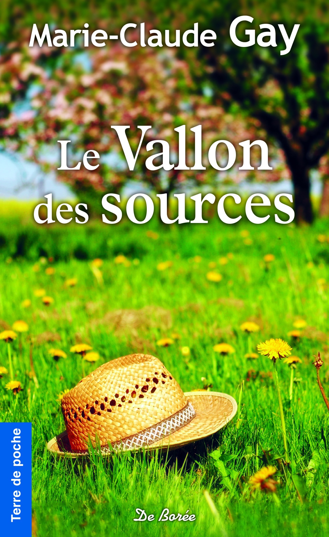 ebook cover of Le Vallon des sources, by Marie-Claude Gay
