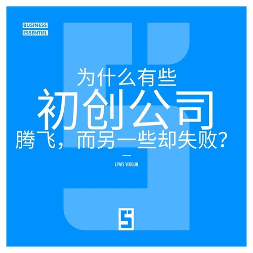 ebook cover of Pourquoi certaines start ups explosent et d'autres échouent ? (version chinois mandarin), by Lewis Verdun