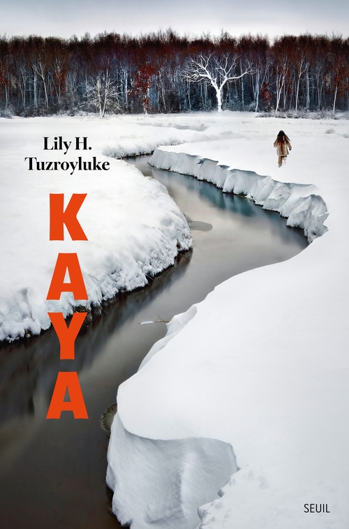 ebook cover of Kaya, by Lily H. Tuzroyluke