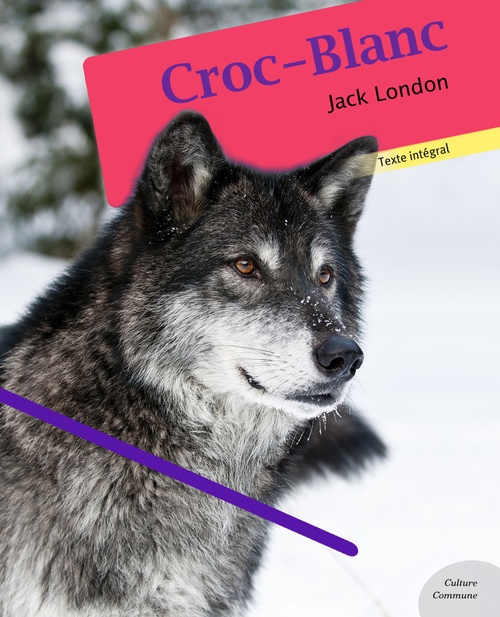 ebook cover of Croc-Blanc, by Jack London