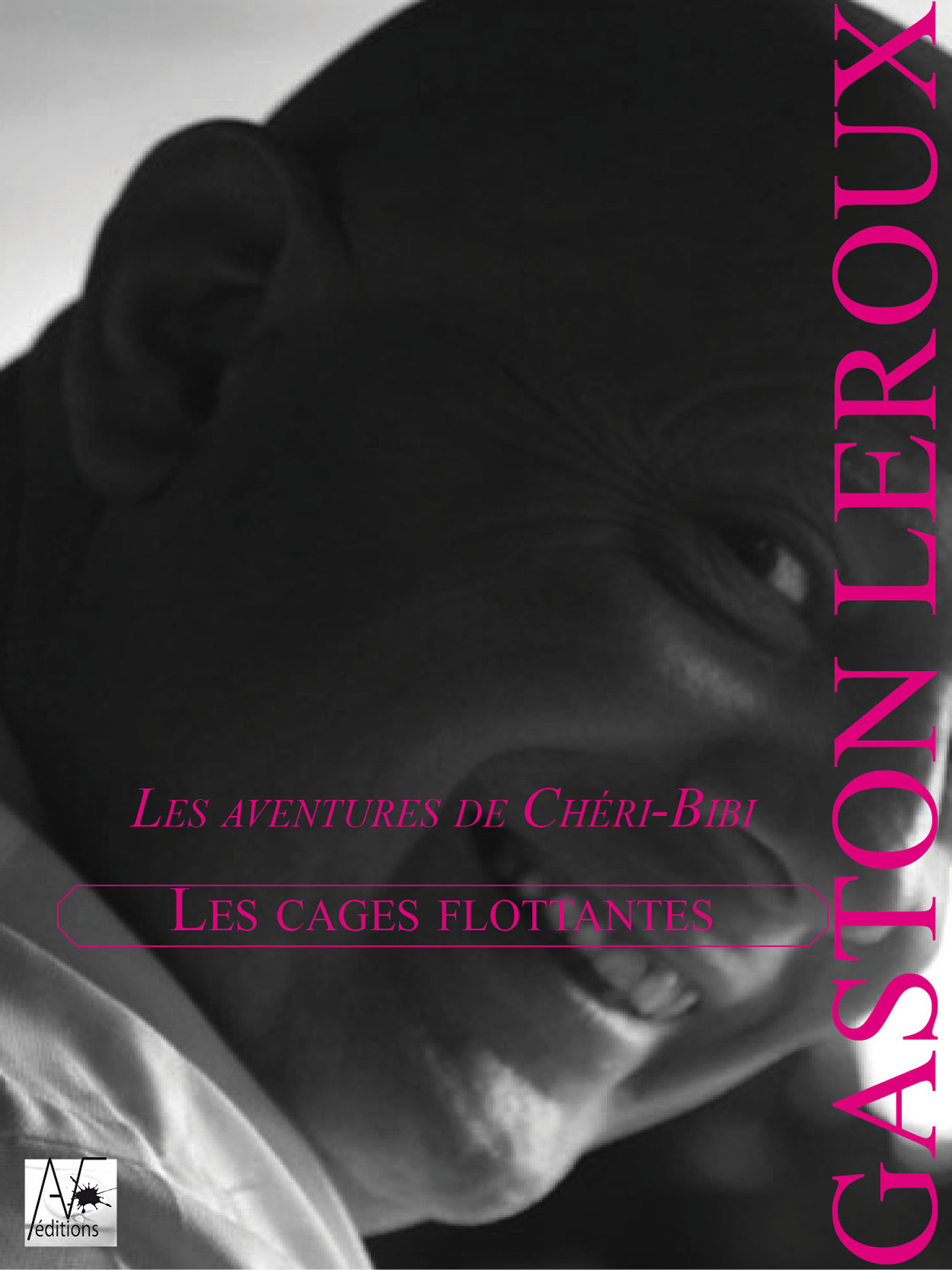ebook cover of Les Cages flottantes, by Gaston Leroux
