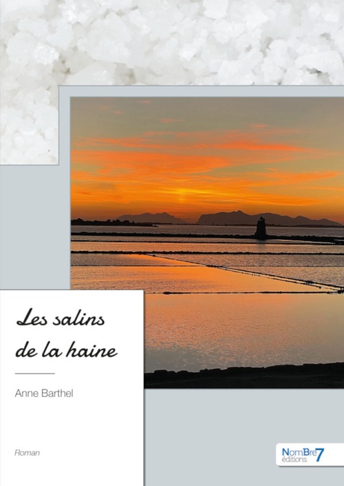 Couverture ebook de Les salins de la haine, de Anne Barthel