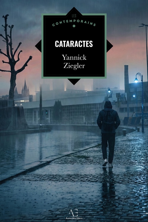 ebook cover of Cataractes, by Yannick Ziegler