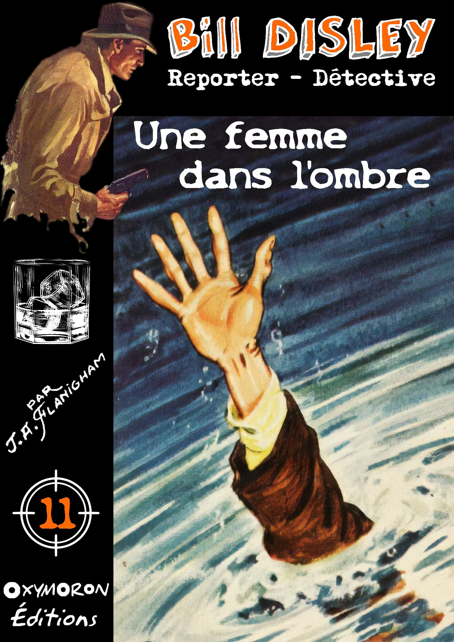 Couverture ebook de Une femme dans l'ombre, de J.A. Flanigham