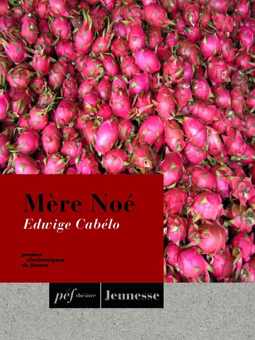 ebook cover of Mère Noé, by Edwige Cabelo