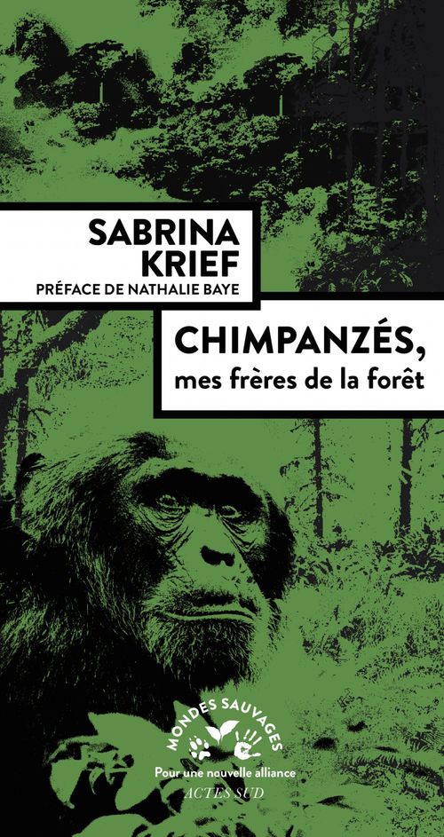 Couverture ebook de Chimpanzés, mes frères de la forêt, de Sabrina Krief, Chloé Couturier
