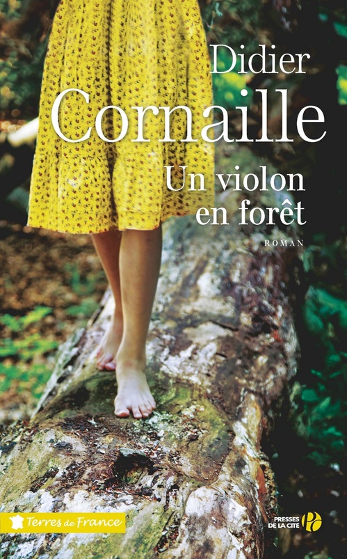 ebook cover of Un violon en forêt, by Didier Cornaille