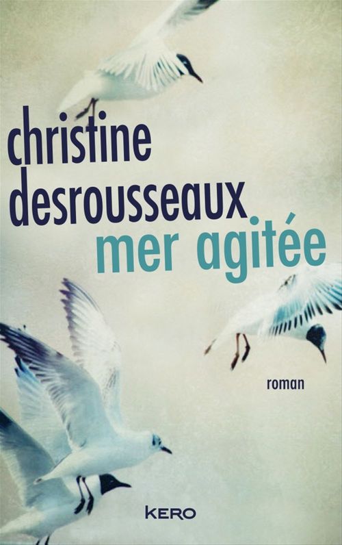 Couverture ebook de Mer agitée, de Christine Desrousseaux