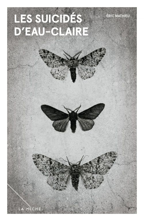 ebook cover of Les suicidés d´Eau-Claire, by Mathieu Eric