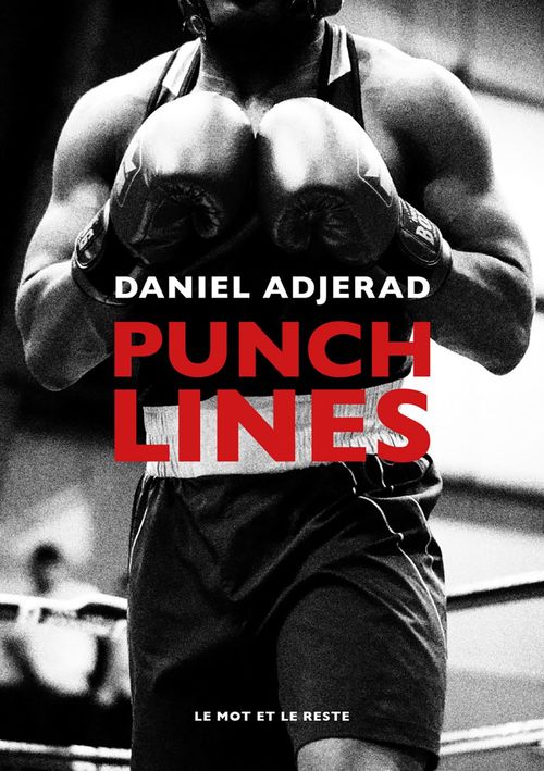 Couverture ebook de Punchlines, de Daniel Adjerad