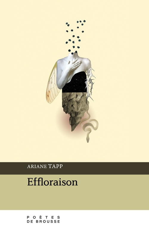 Couverture ebook de Effloraison, de Ariane Tapp