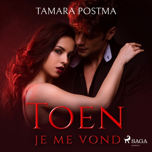 Couverture audiobook de Toen je me vond, de Tamara Postma