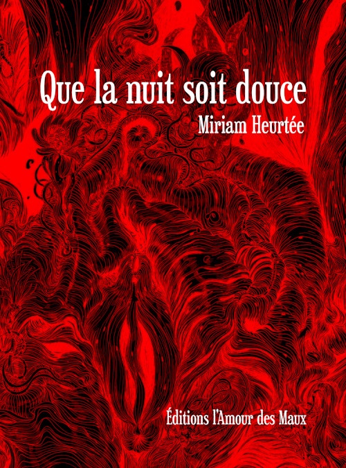 Couverture ebook de Que la Nuit soit Douce, de Miriam Heurtée