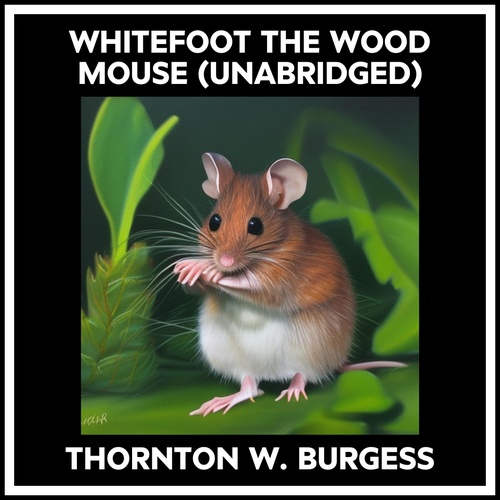 audiobook cover of Whitefoot The Wood Mouse (Unabridged), by Thornton W. Burgess