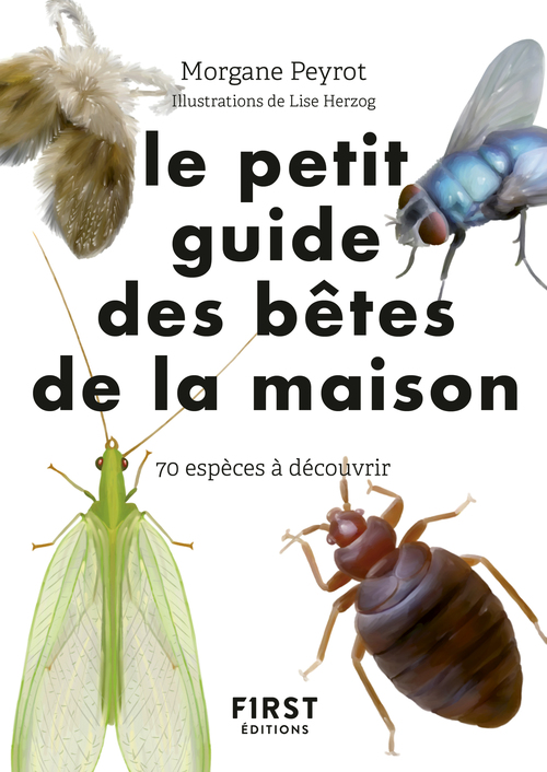 Couverture ebook de Petit guide des bêtes de la maison, de Morgane Peyrot