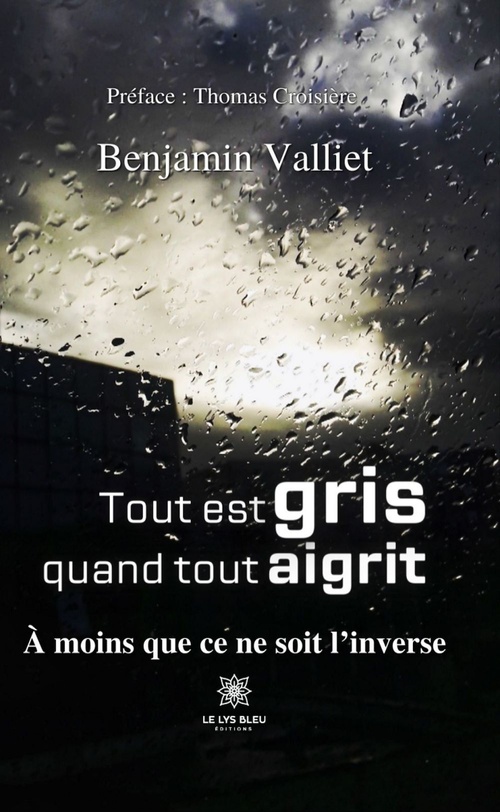 Couverture ebook de Tout est gris quand tout aigrit, de Benjamin Valliet
